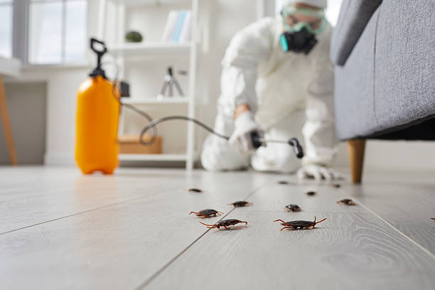 Trusted Emergency Pest Control service in Port Carbon, PA - Nex Pest Control