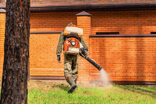 Trusted Termite Control service in Port Carbon, PA - Nex Pest Control
